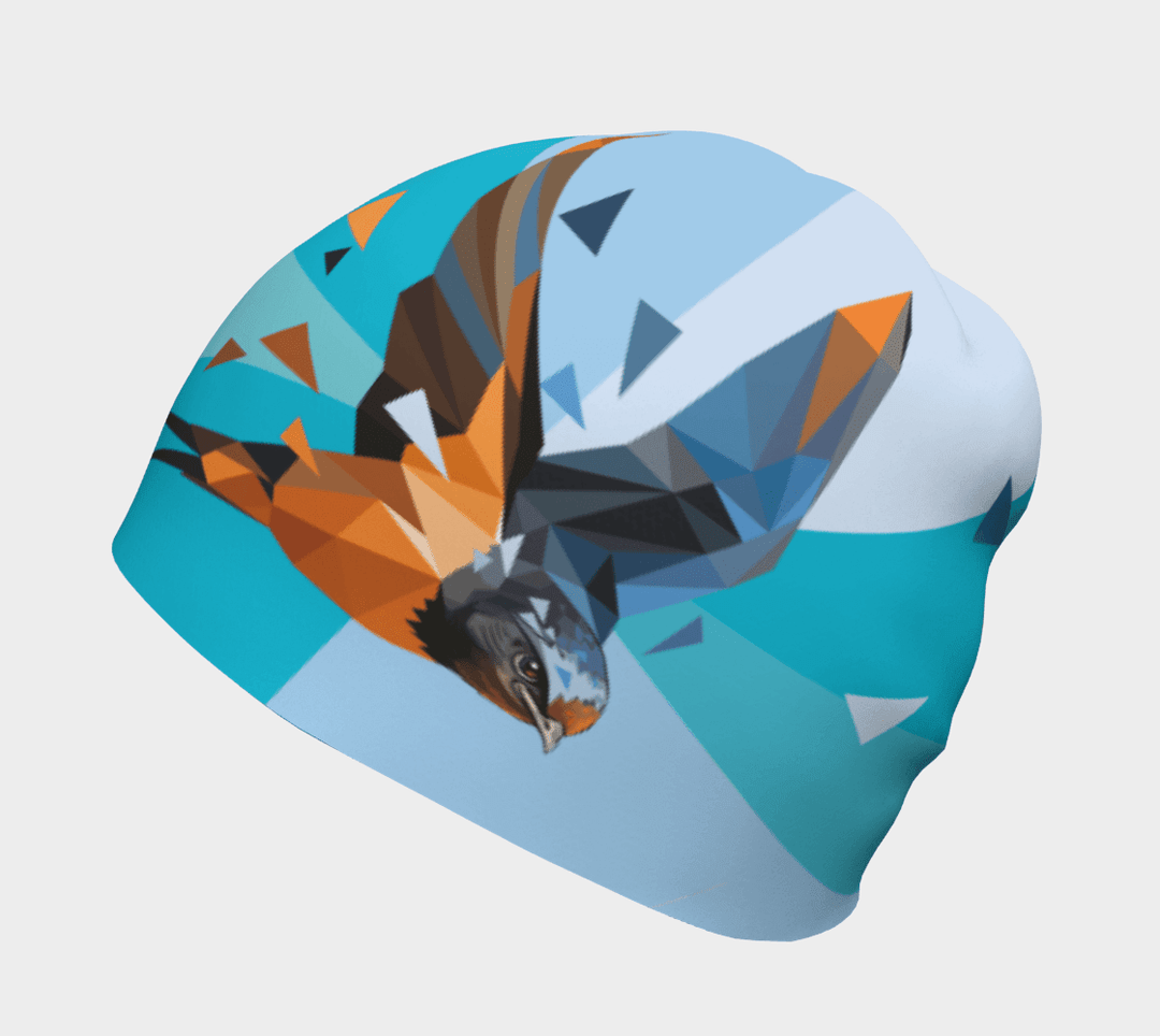 A stylized Swallow in flight adorns a light blue beanie against abstract geometric shapes.